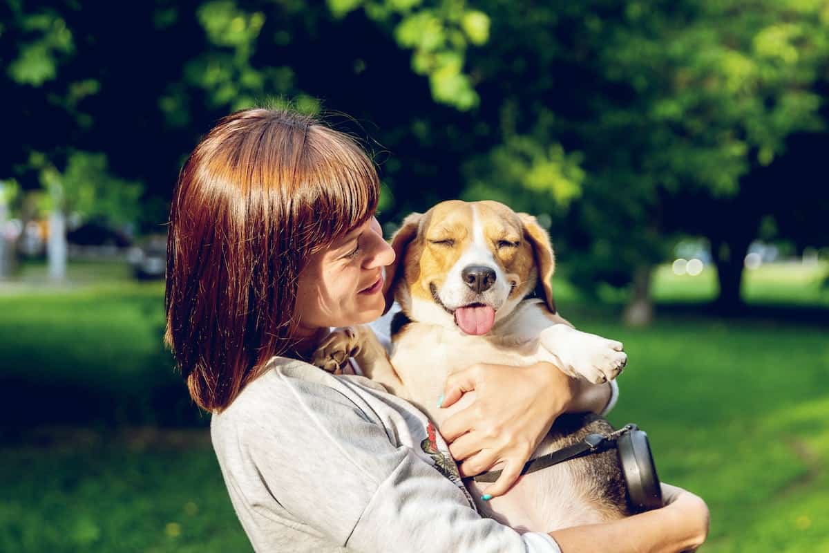 Woman smiling and holding beagle in park