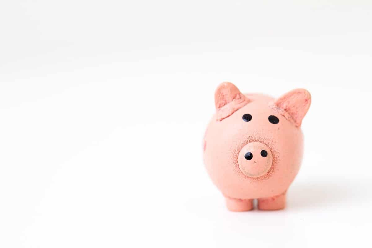 Photo of a pink piggy bank against a white background